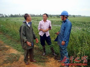 老驥伏櫪霞滿(mǎn)天